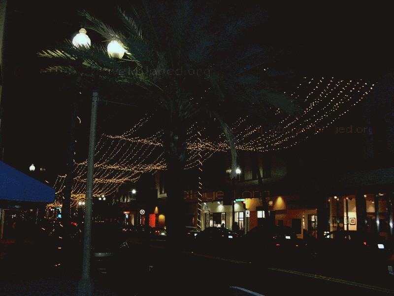 Ночной West Palm Beach, Florida.